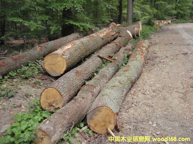 �W��Oak��Ԕ��(x��)��B