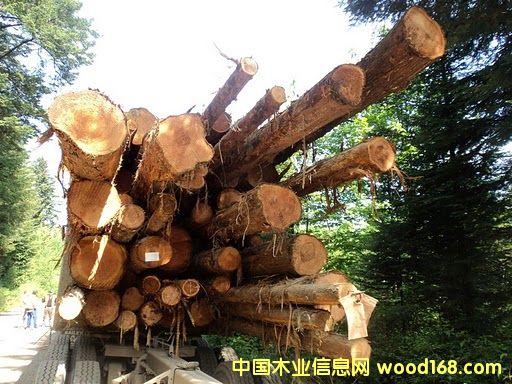 ���ô�ľ�ĵ�Ԕ��(x��)��B