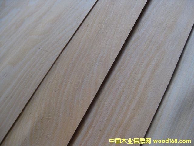 ��ľľƤ��Ԕ����B