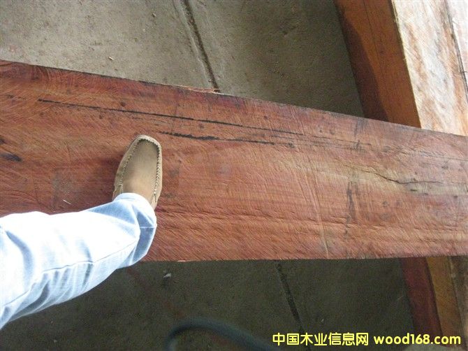 �����ް���֦��Ԕ����B