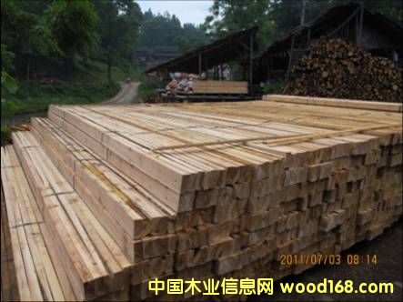 ɼľ��Ԕ��(x��)��B