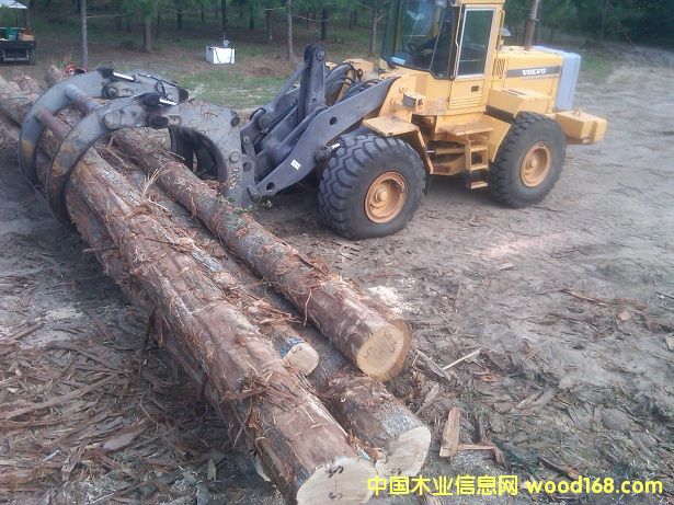 �����Ԕ��(x��)��B