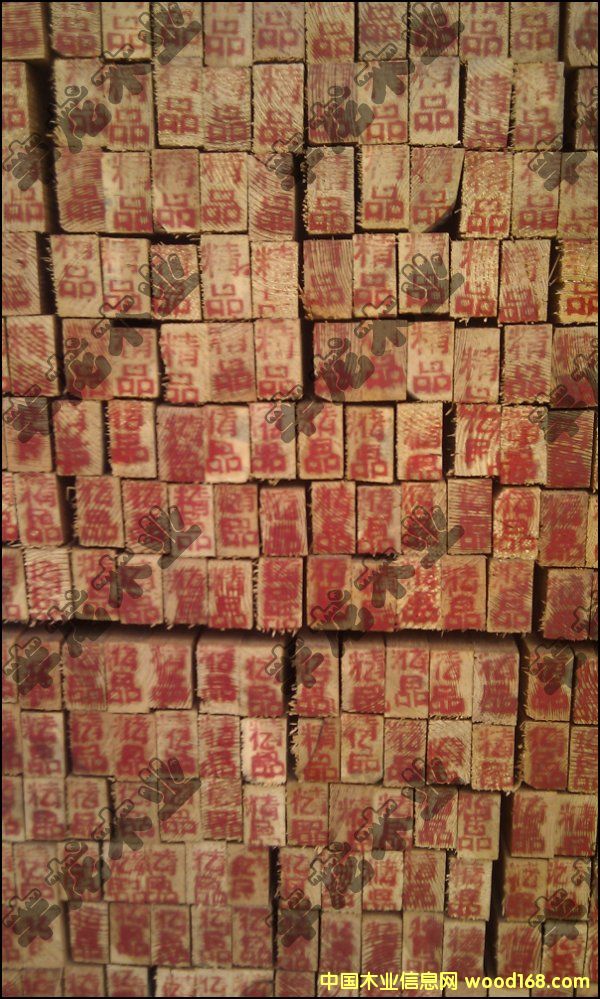 ���~�ɺ�ɵ����ǵ�Ԕ����B