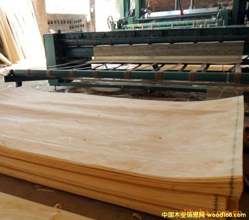 ��������Ƥ2��Ԕ��(x��)��B