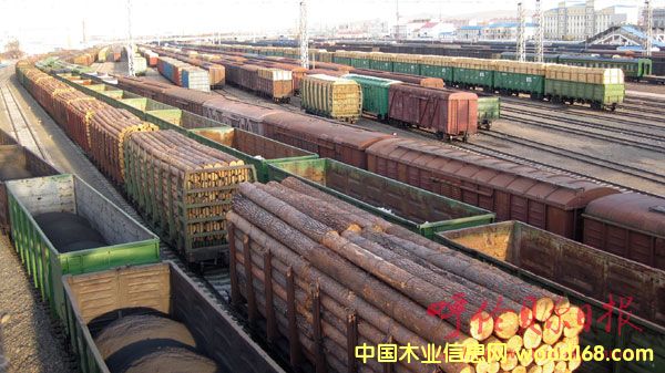 ��������Ƥ4