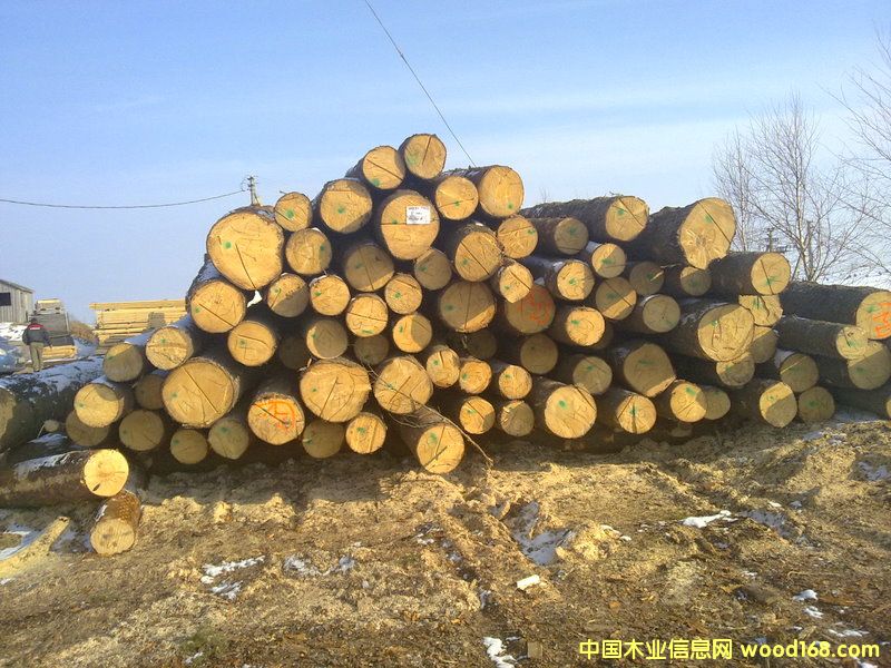 ��������ɼԭľ��Ԕ����B