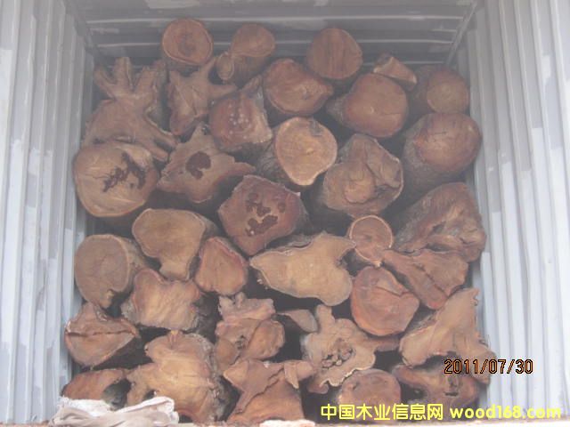 �����棨���ȁ�����Ԕ����B