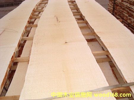 ���_˹��ľ��Ԕ��(x��)��B