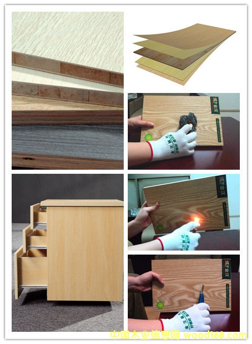 �����谷��(sh��)ľ�������B(t��i)���Ԕ��(x��)��B