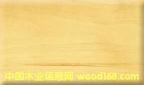 ̫ƽ��ח���Ԕ��(x��)��B