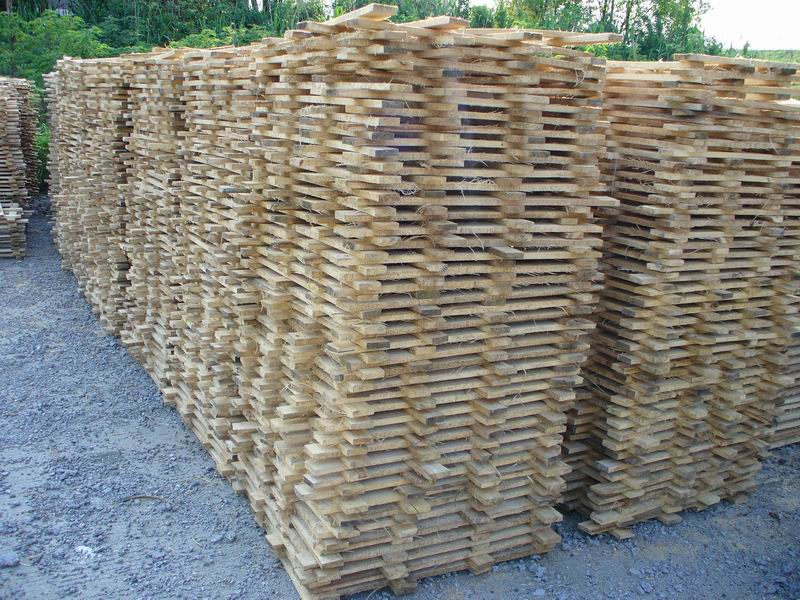 ��ľˮ��ë��