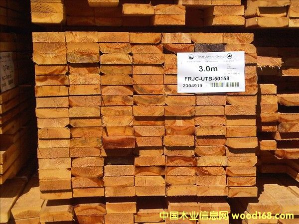 ����(y��ng)���ô�(y��u)�|(zh��)������䏲ĵ�Ԕ��(x��)��B