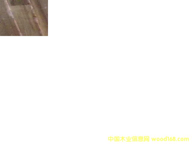 �t�𼯳ɲĵ�Ԕ����B