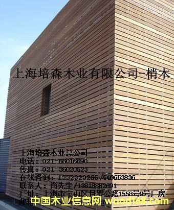 ��ľ��2��Ԕ����B