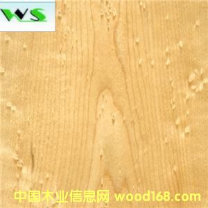 ��ľȸ��ľƤ��Ԕ��(x��)��B