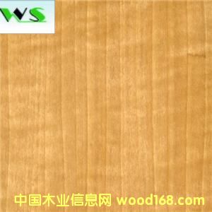 ����(y��ng)�tӰľƤ��Ԕ��(x��)��B