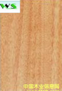 ����(y��ng)�t����ľƤ��Ԕ��(x��)��B