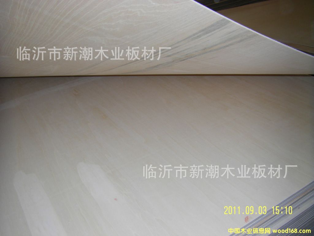 ���Пo�p����������