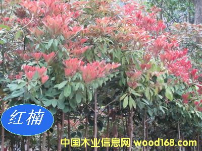 [��] ���ľN�磨�}骡��E���С�~�����骡��ٻ�����t骣�