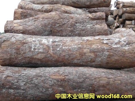 Ƥ�ҵ�Ԕ��(x��)��B