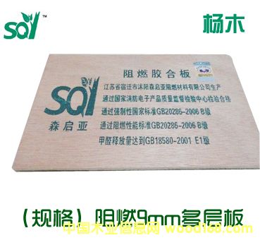 ��ȼ9����Ӱ壨��ľ����Ԕ��(x��)��B