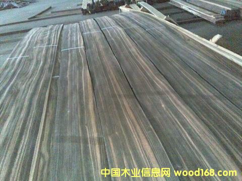 ��̴B��Ƥ����(x��)�y����Ԕ��(x��)��B