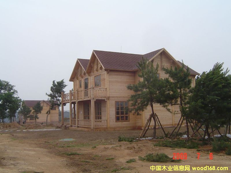 ��������ľ�M��ľ��