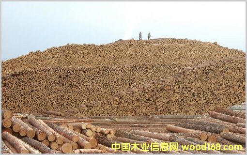 ԭľ��Ԕ����B