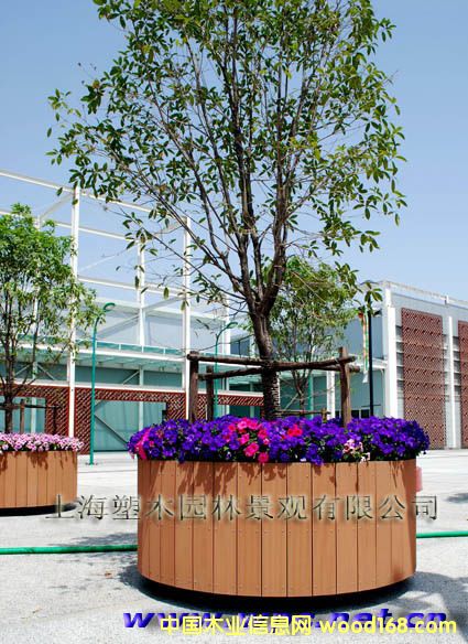 2010�Ϻ�������ľ�Ƅ�(d��ng)�����Ԕ��(x��)��B