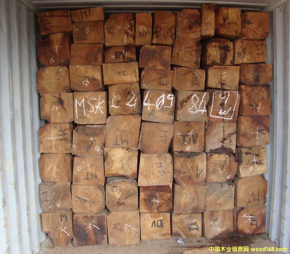 �����S���棨�����̴����Ԕ��(x��)��B