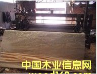 ��ľƤ��Ԕ��(x��)��B