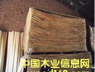 ��ľƤ��Ԕ��(x��)��B