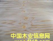 ������Ƥ��Ԕ��(x��)��B