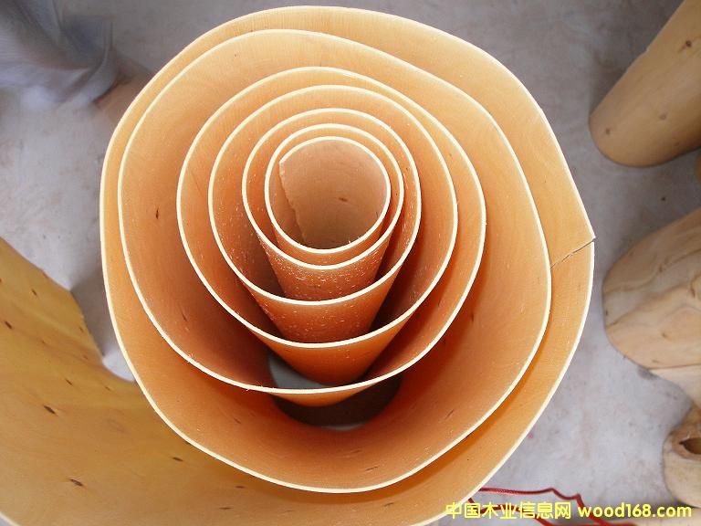 һ��(j��)��ľ�ΰ��Ԕ��(x��)��B