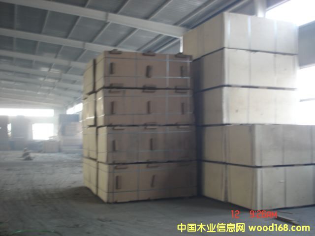 ��ɭ�����w���Ԕ��(x��)��B