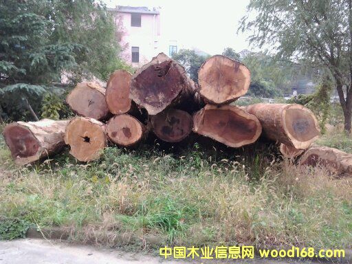 ��z�ľ��Ԕ����B