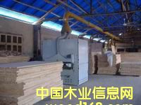 ��(x��)ľ�����Ԕ��(x��)��B