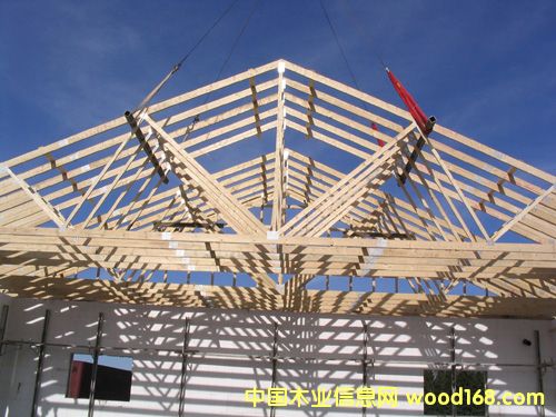 ���ݽ����Ã�(y��u)�|(zh��)ȫ��ľlvl����-ɽ�|���_(d��)ľ�I(y��)���޹�˾����(y��ng)