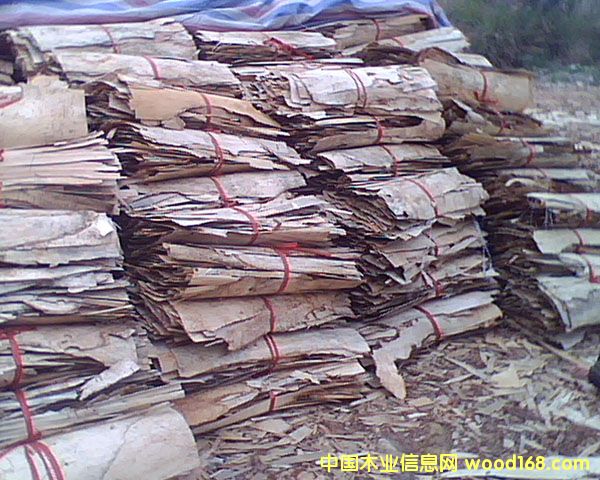 ��ľ/��ľ�U��/���Ԕ��(x��)��B