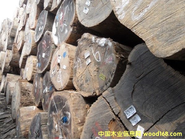 �T�񣨿���˹����Ԕ����B