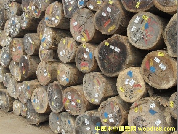 �T�񣨿���˹��ԭľ��Ԕ����B