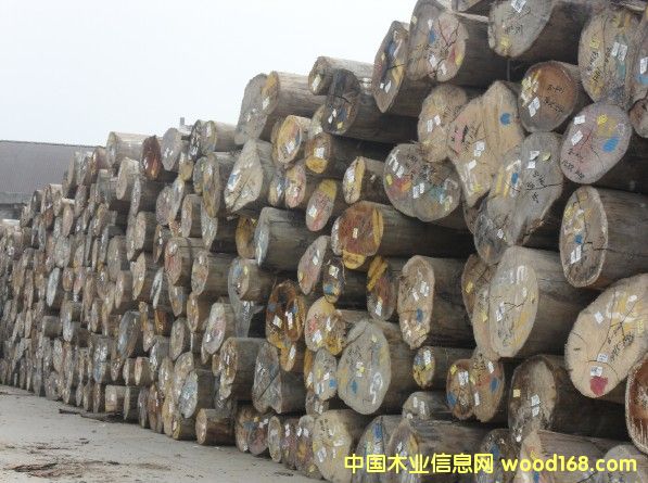 �����Ԕ����B