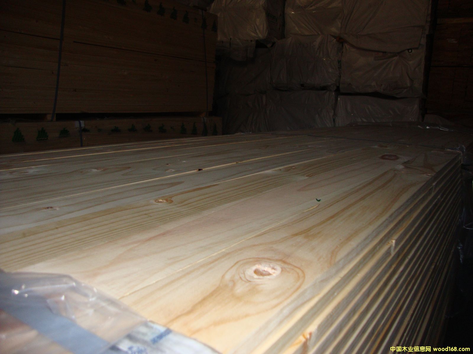 �M��ݗ���� ���2.1cm��� ��Ԕ����B