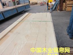 �M��ݗ���� ���2.2cm�o��(ji��)ë�� ��Ԕ����B