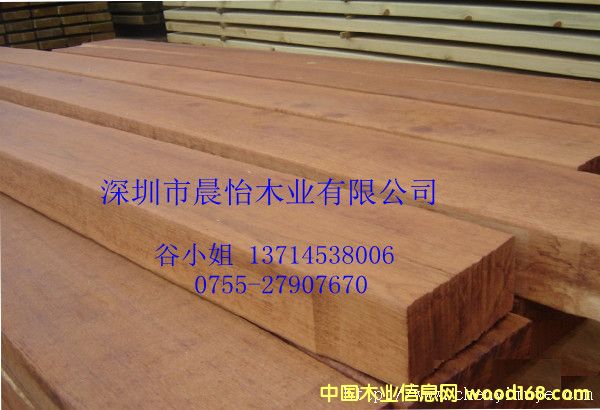 �t�Fľ��Ԕ��(x��)��B