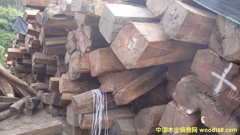 ���޻�֦1��Ԕ����B