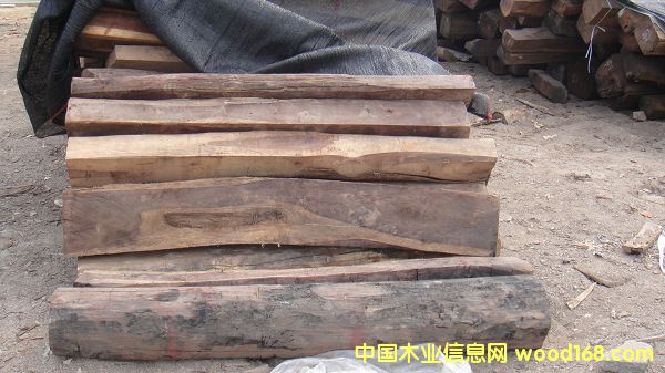 �t��֦2��Ԕ����B