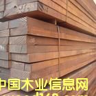 [��] ����(y��ng)���@�ַ���ľ������ľ��Ʒ�����}��ذ���