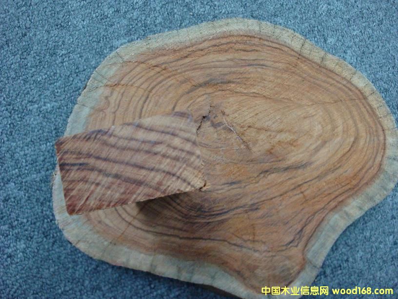 �R���װ�ĵ�Ԕ����B