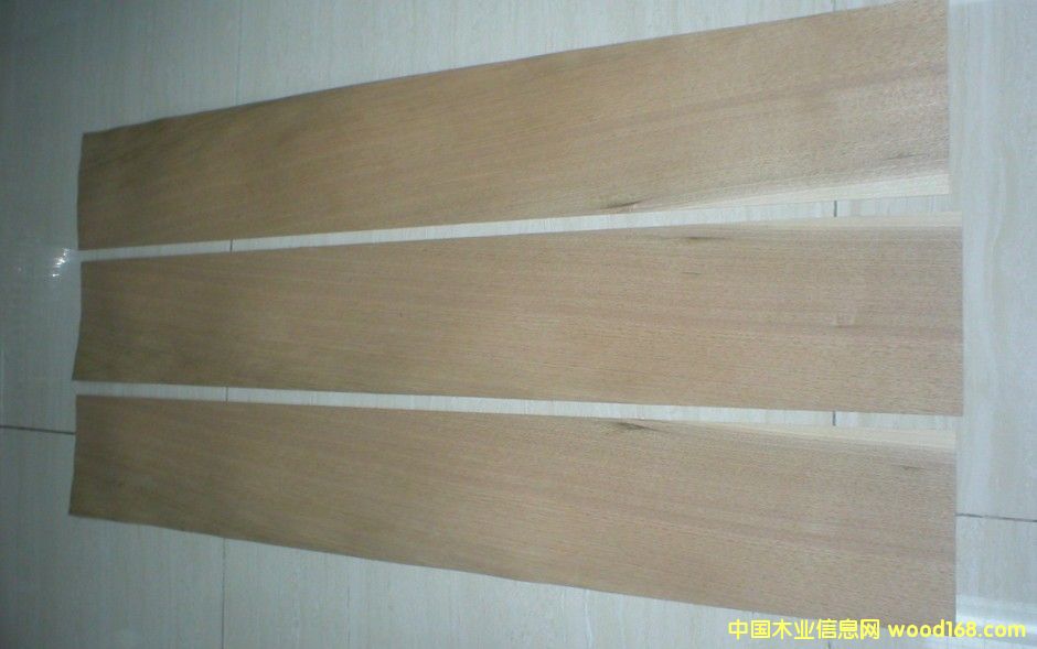 楸木的詳細(xì)介紹